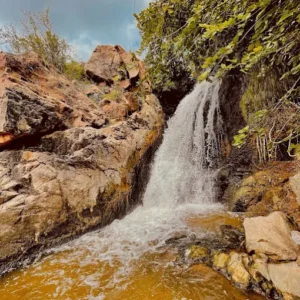 unnamed - 2025-09-24T110343.195